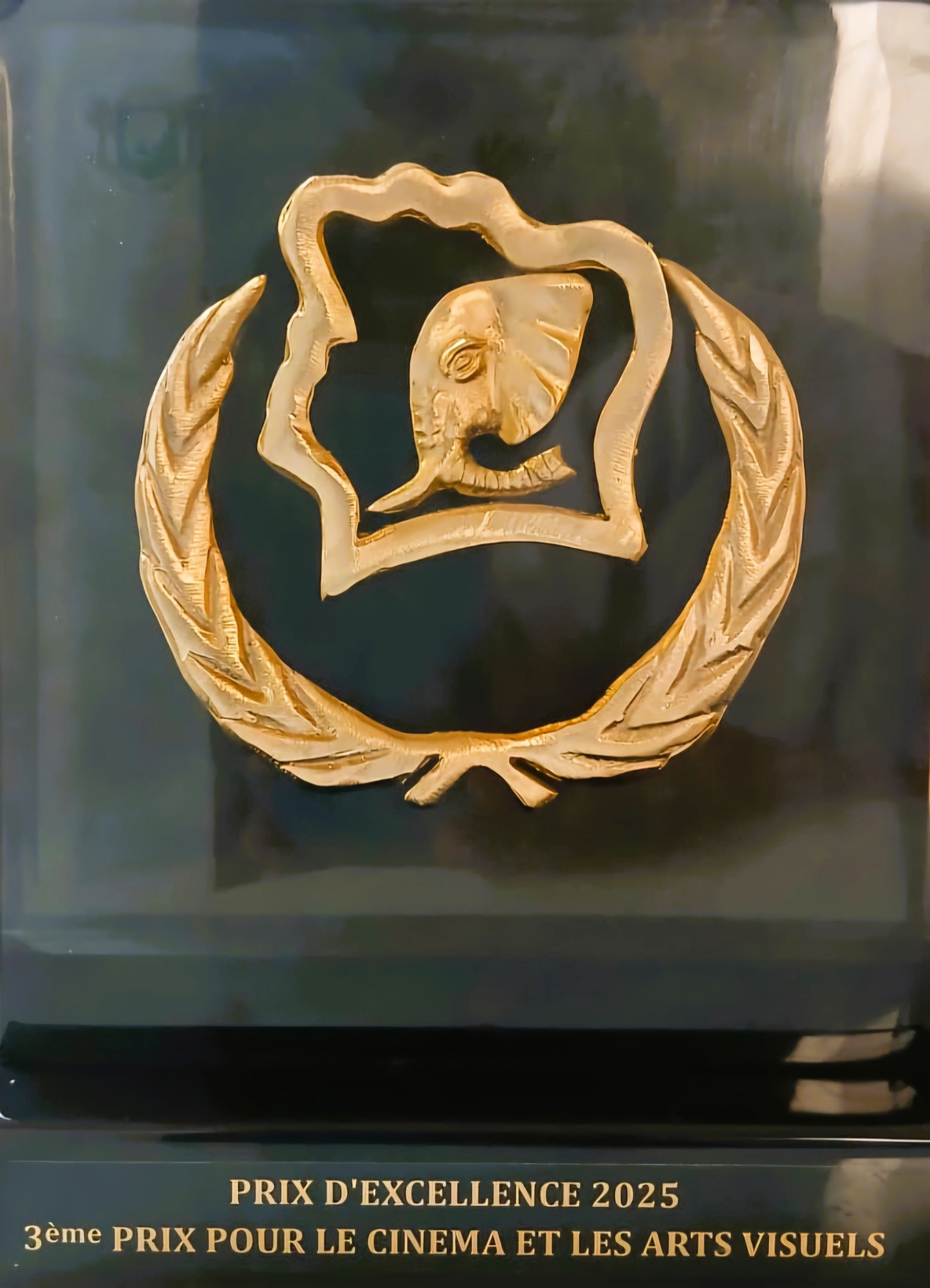 Cérémonie Distinction